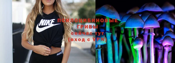 спайс Абаза
