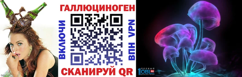 Галлюциногенные грибы Psilocybe  Белоусово 
